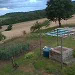 Cerqueti *
