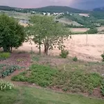 Cerqueti * Baschi