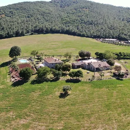 Cerqueti *