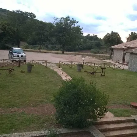 Cerqueti Baschi