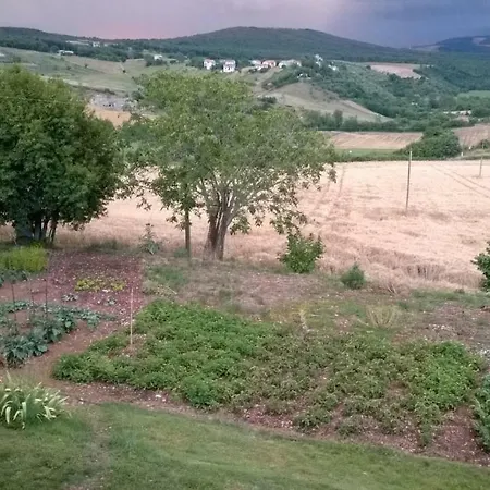 Cerqueti * Baschi