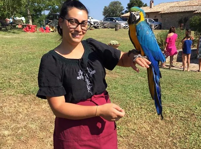 Cerqueti Alloggio per agriturismo